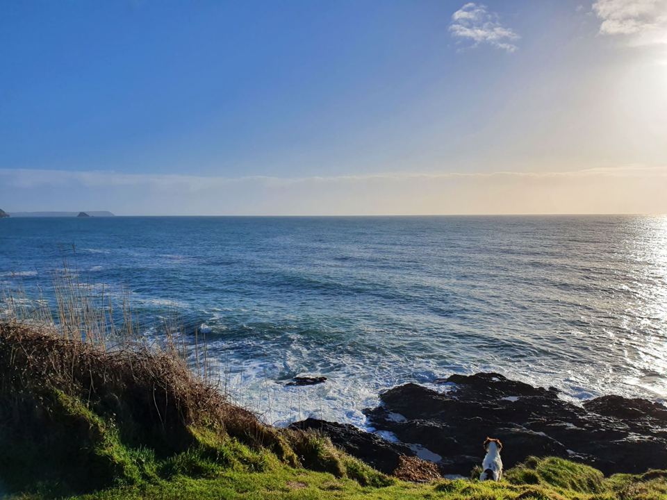 Coast path above the rocks