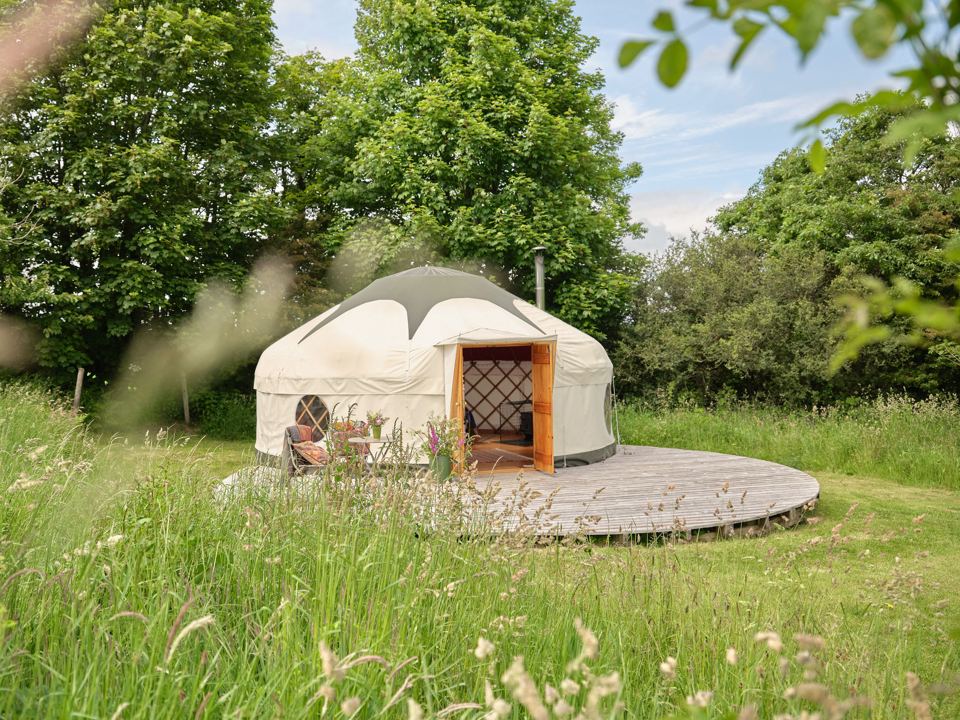 Yurt on a grass clearing