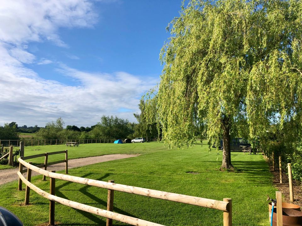 Meadow by the river