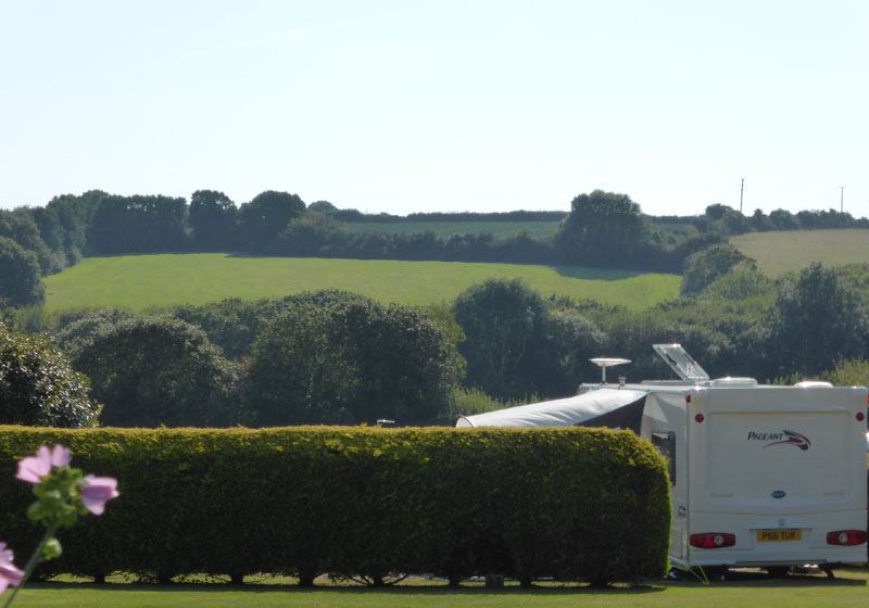 Caravan beside the hedge