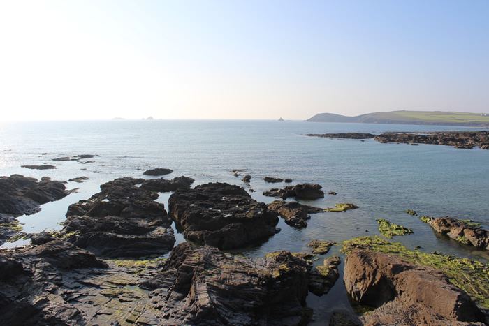 Rocks and sea at low tide