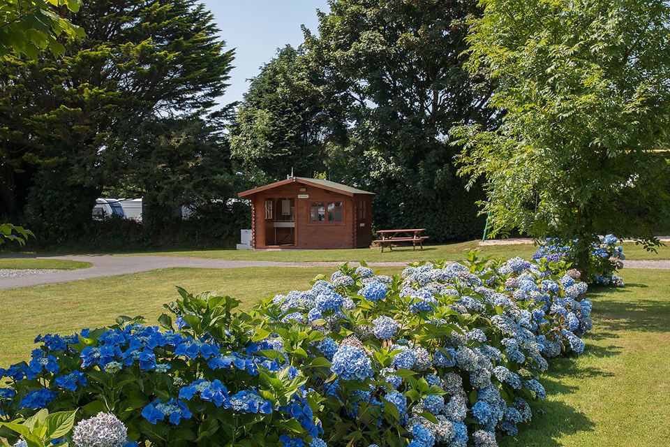 Wooden cabin with hydrangeas