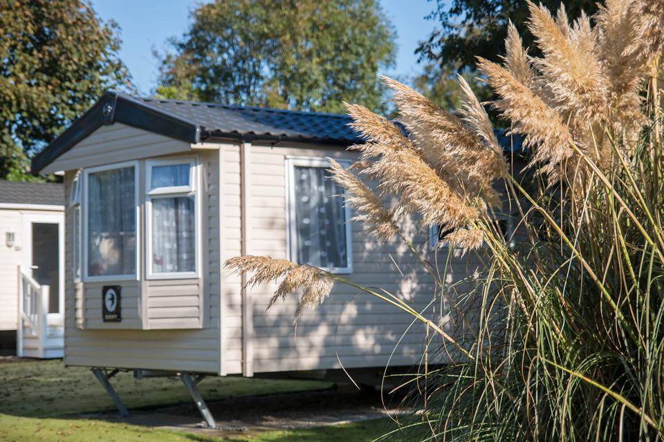 Static caravan with pampas grass