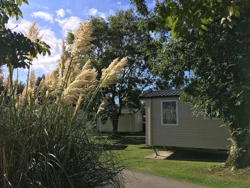 Static caravan among pampas grass