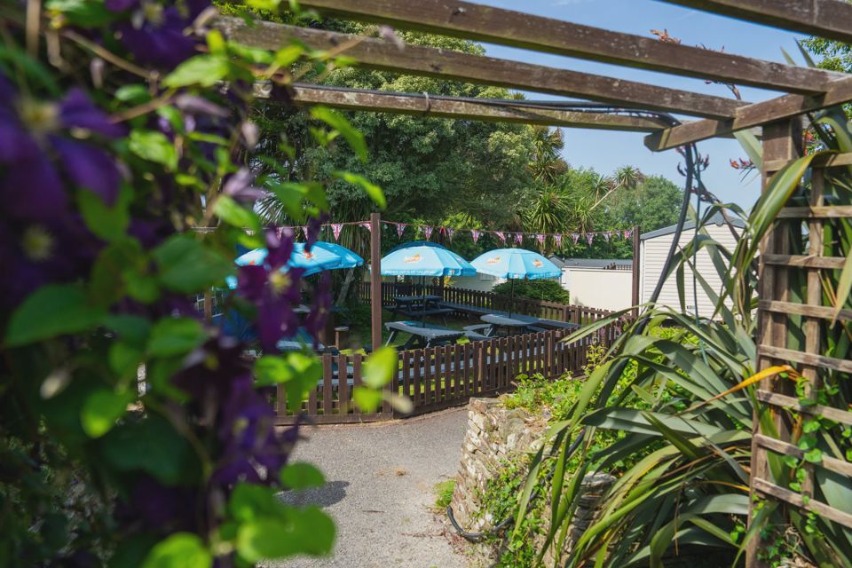 Outdoor seating under umbrellas