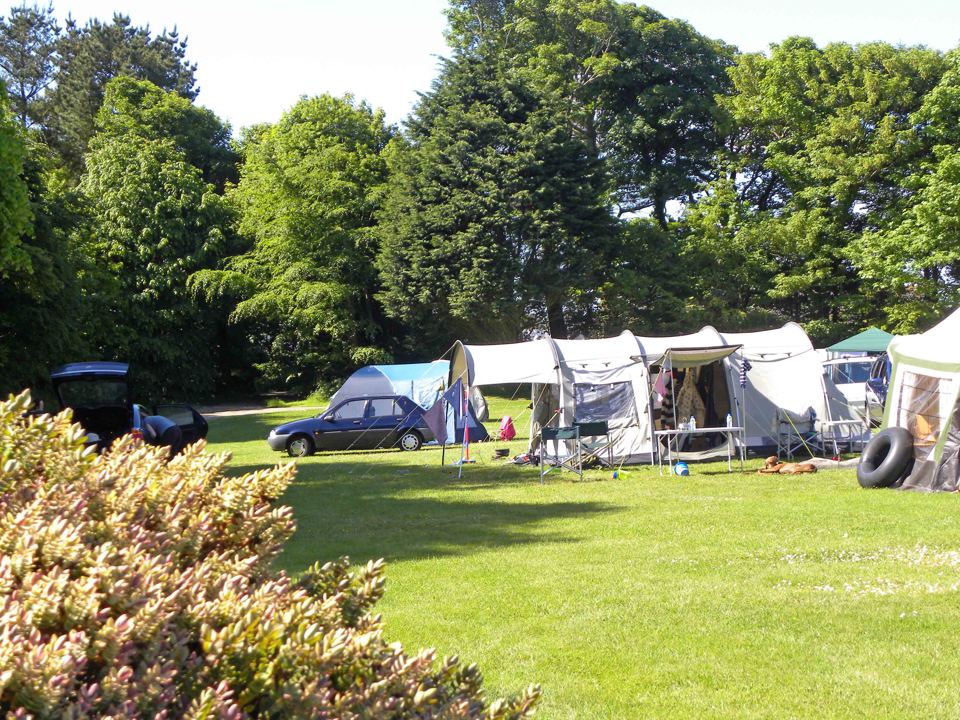 Tents on the grass under the trees