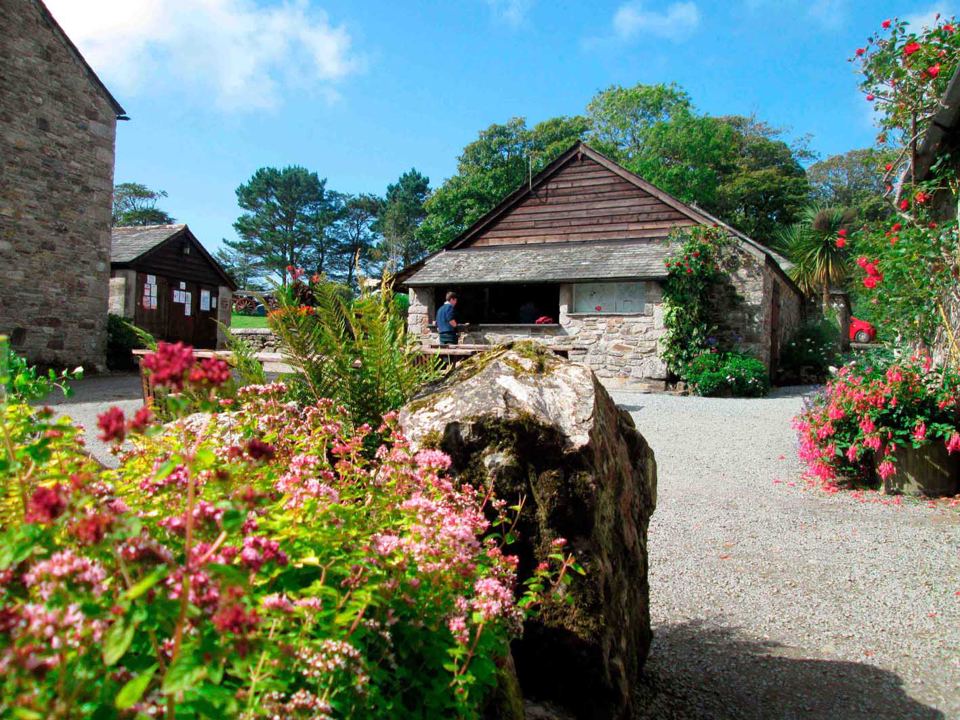 Courtyard with flowers and the barn