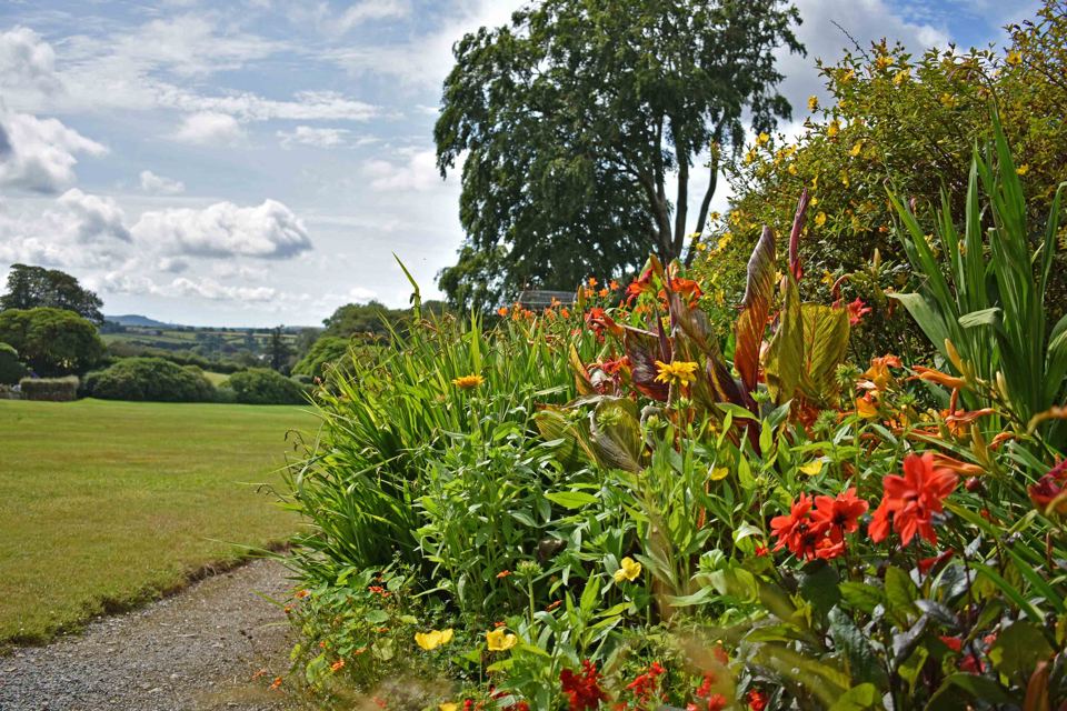 Flower border on the lawn