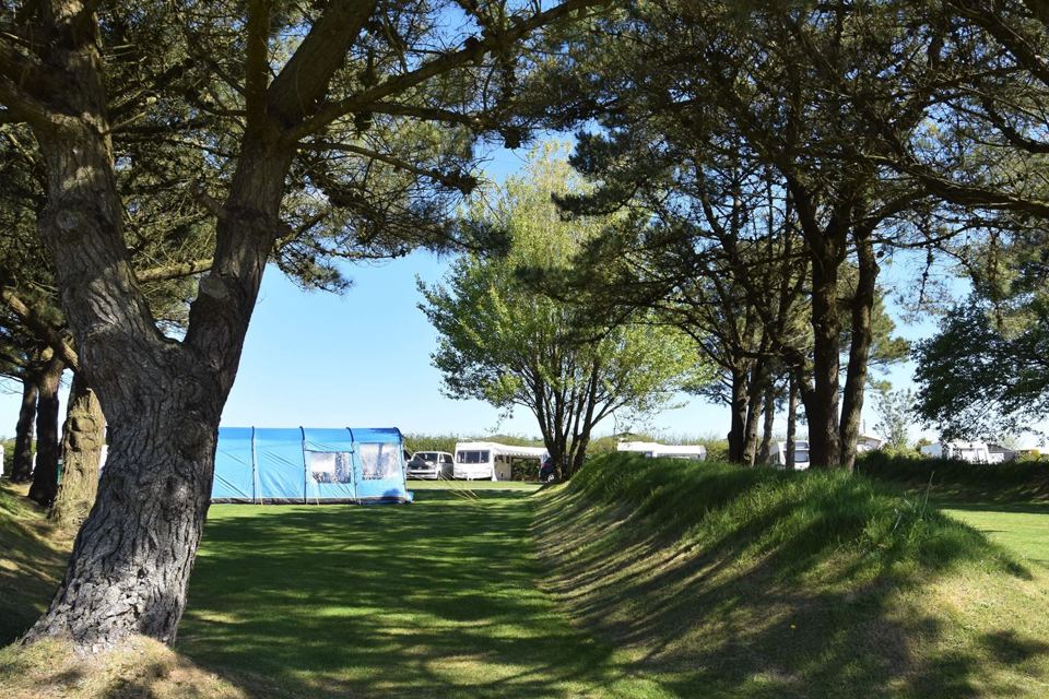 Tent pitch under the trees