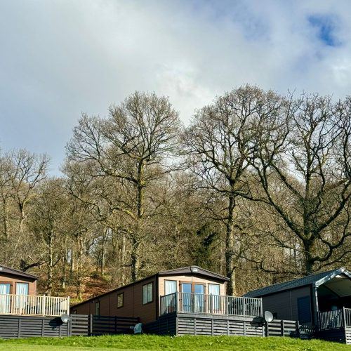 Holiday homes among trees