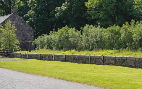 Grass beside the old stone wall