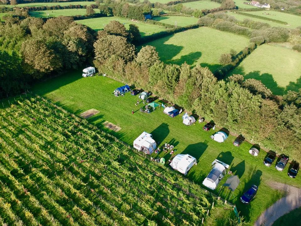 Camping field beside the vineyard