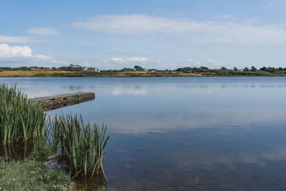 Llyn Maelog from the bank