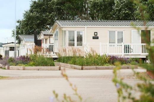 Caravan with decking and planting
