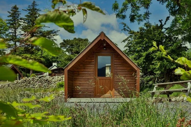 Camping pod among trees