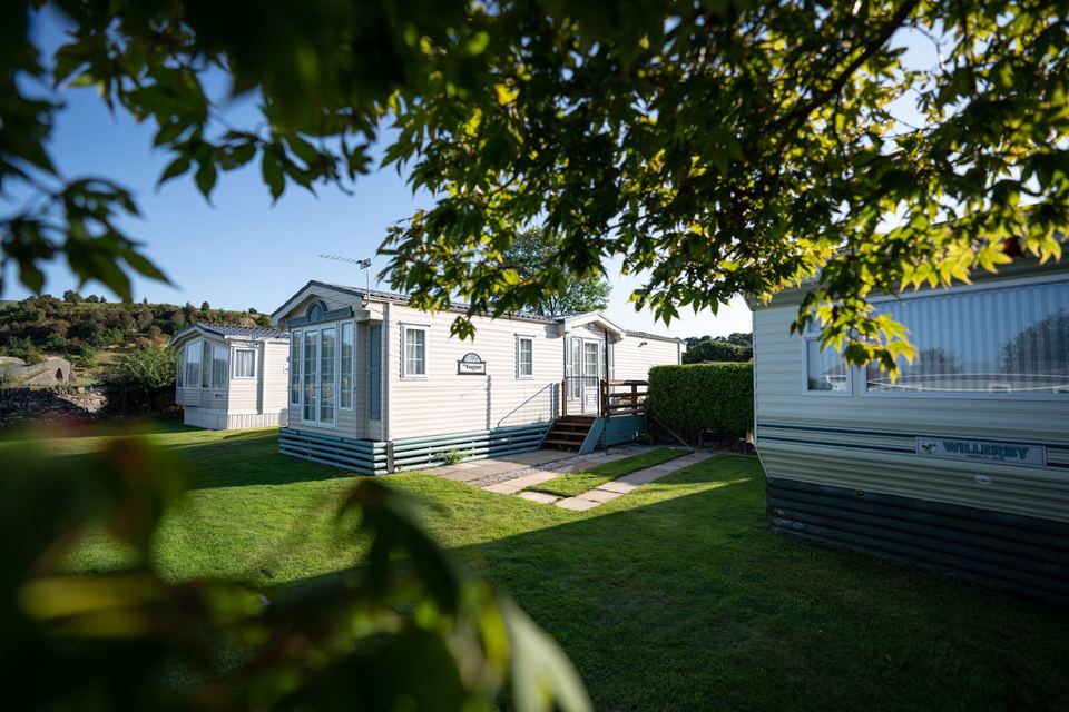 Static caravans under the trees