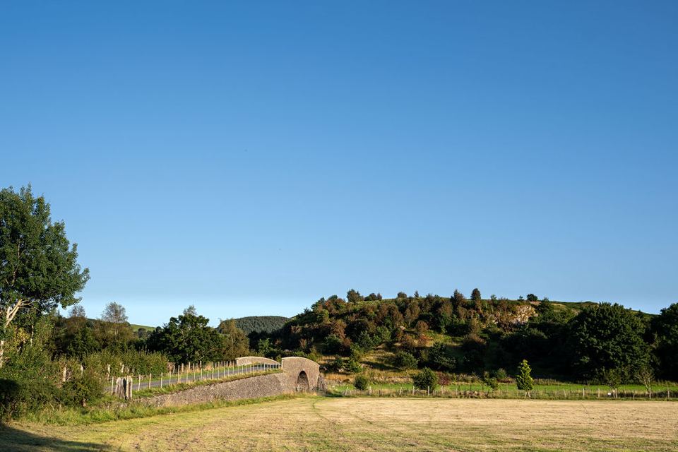 Open field towards the trees