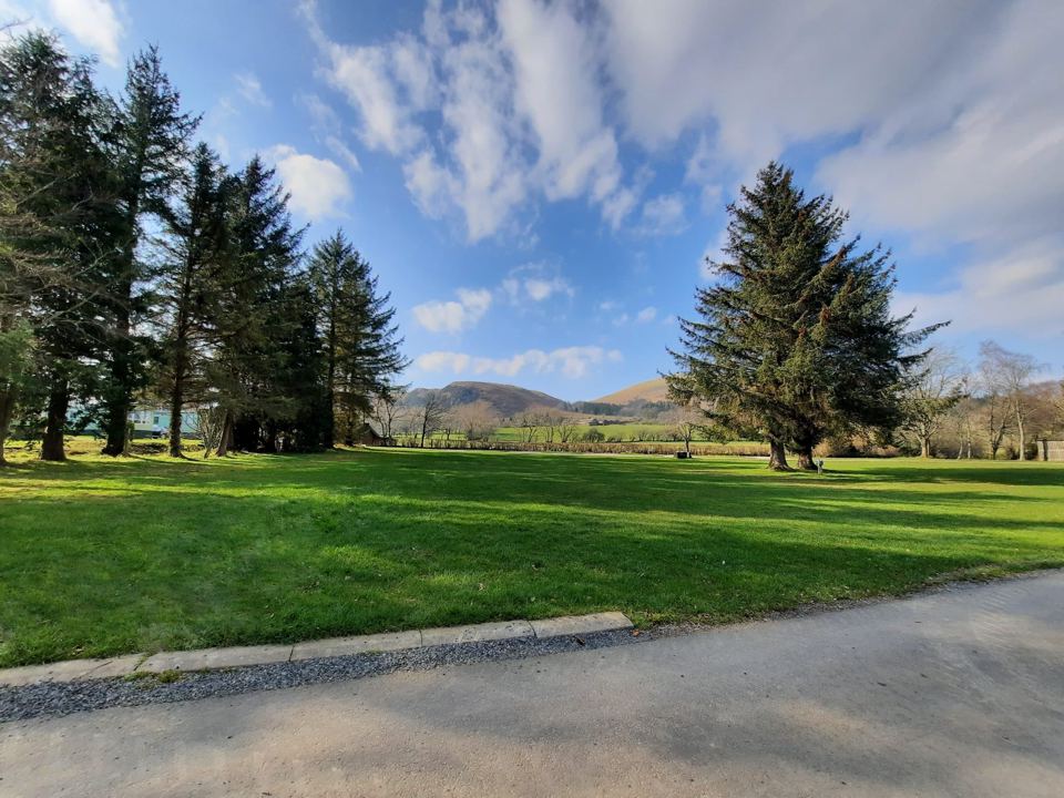 Grass pitches beside the road