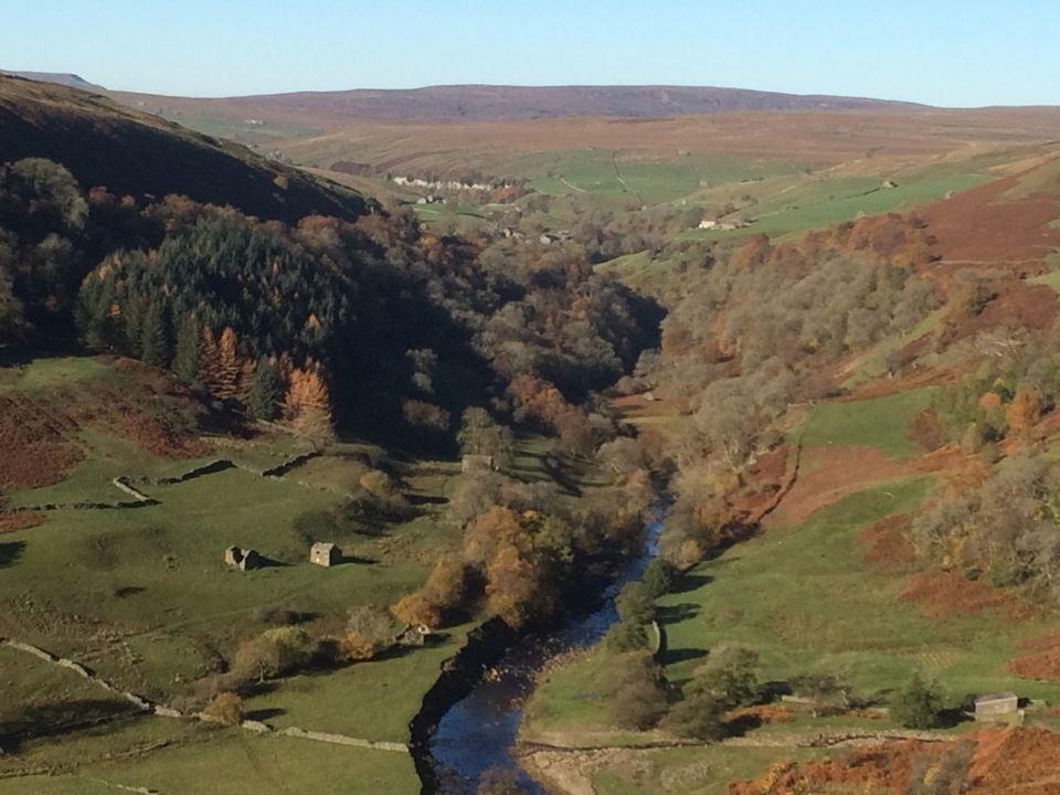 Wooded gorge and river
