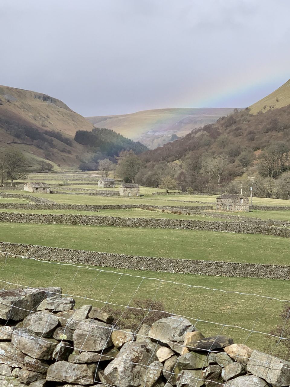 Rainbow over the dale