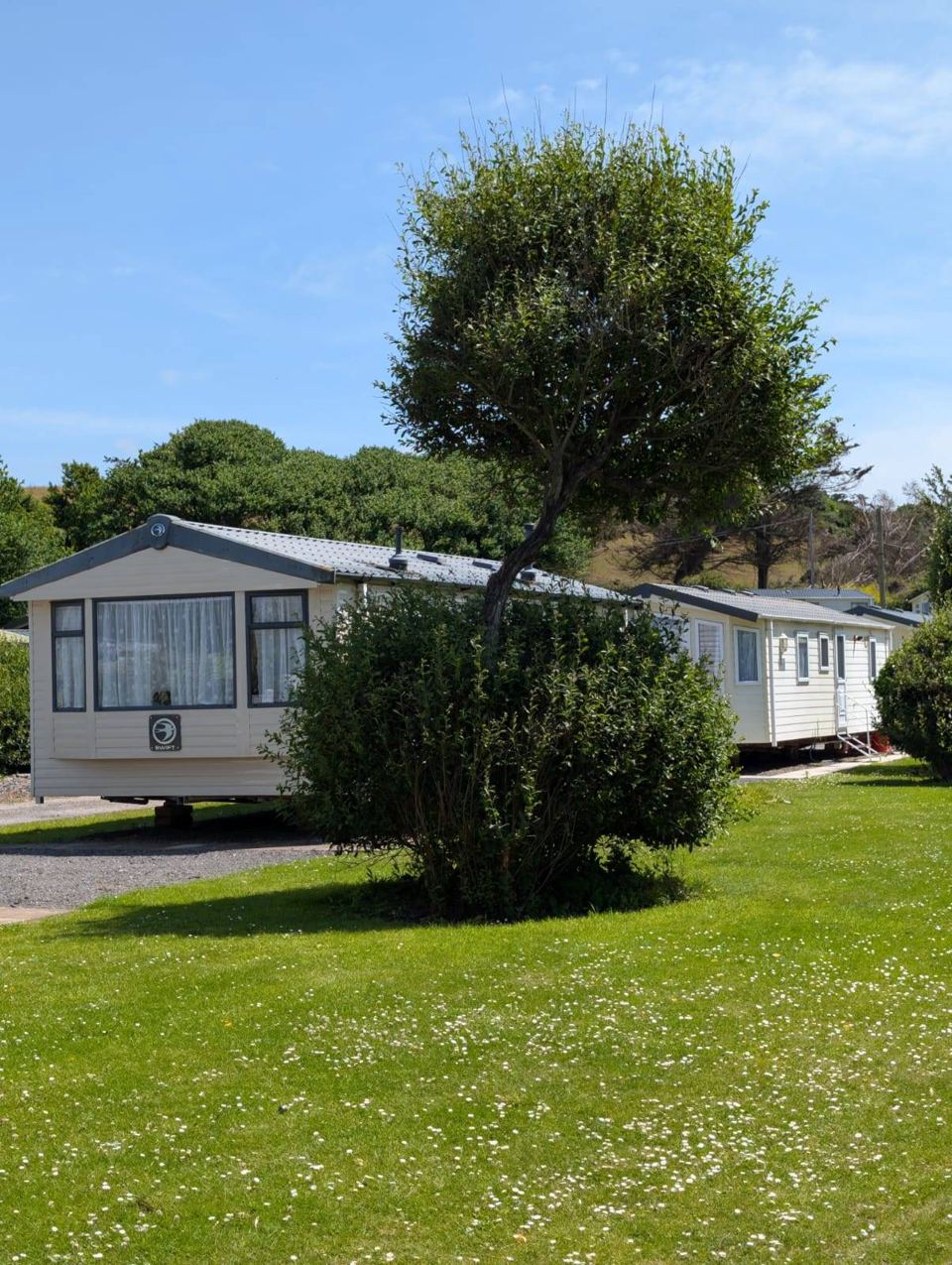 Static caravan under a tree