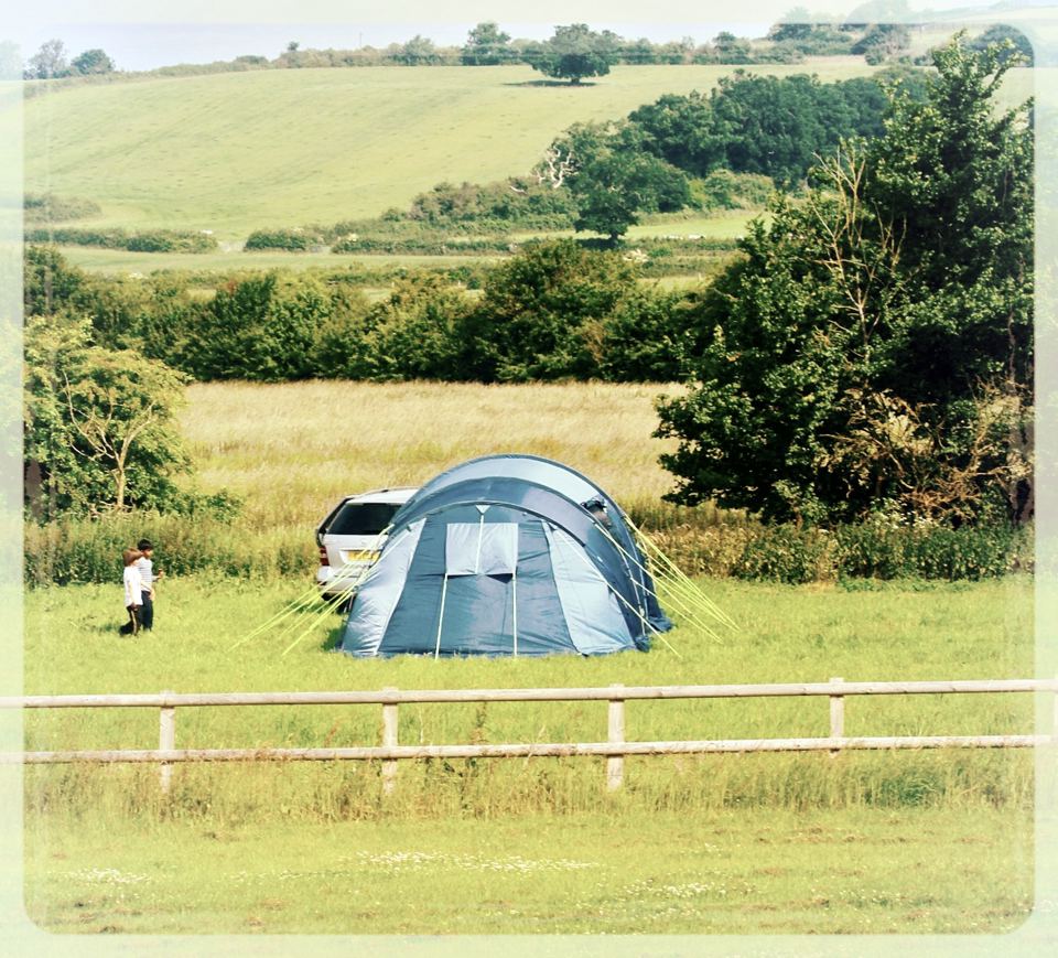 Tent pitch with views