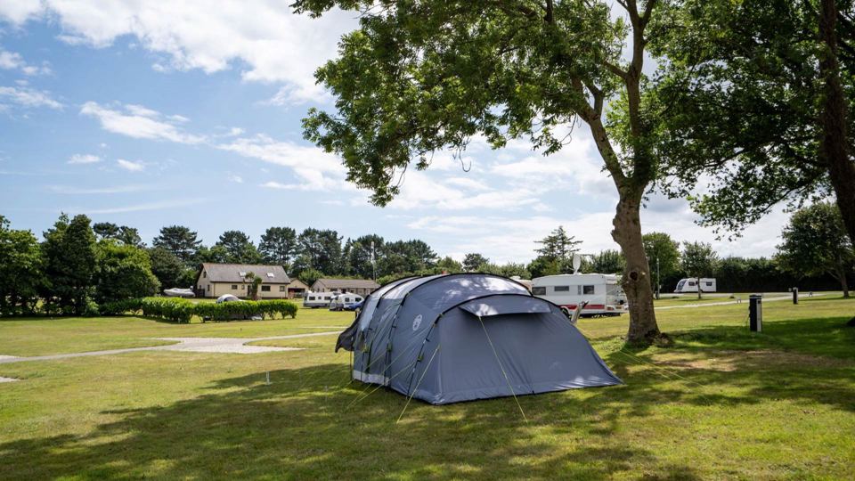 Tent pitch under a tree