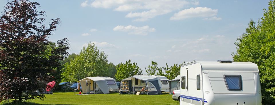 Tourers and awnings on the grass