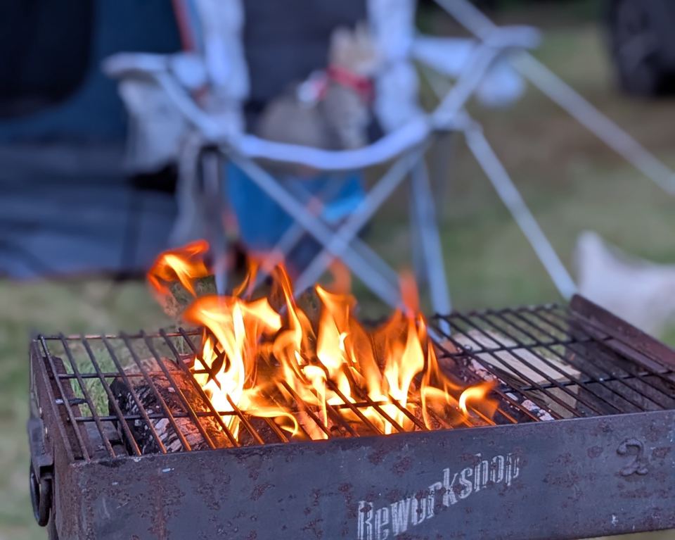 Fire pit with a grill