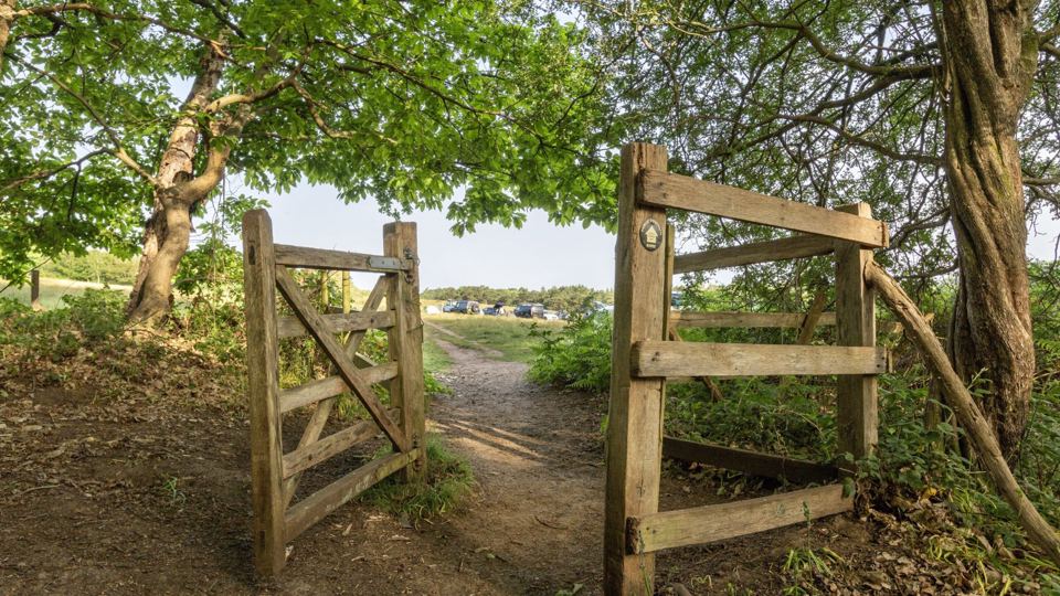 Gate from the field to the trees