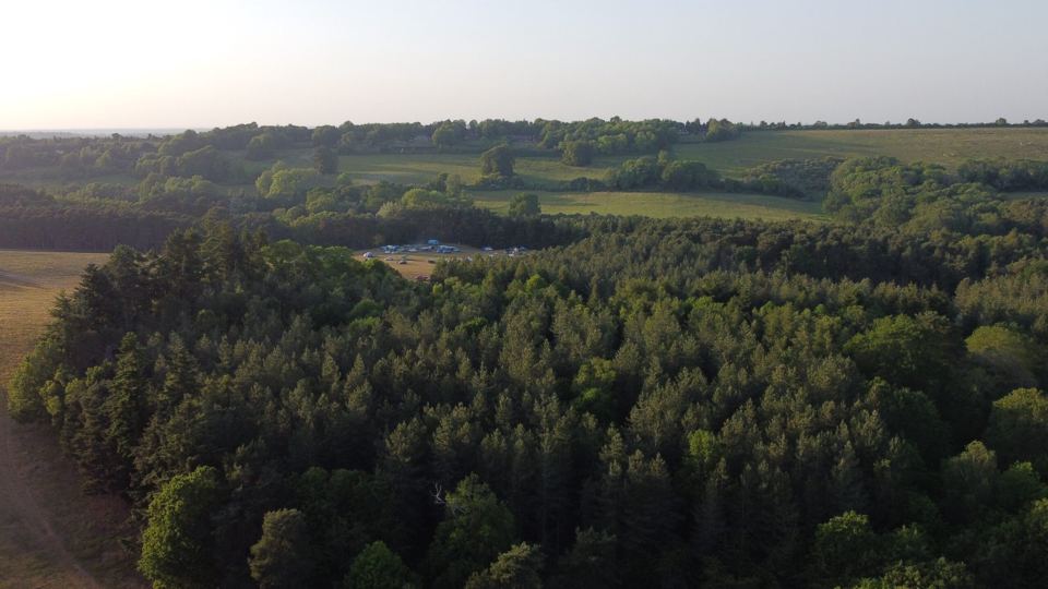 Woodland around the site