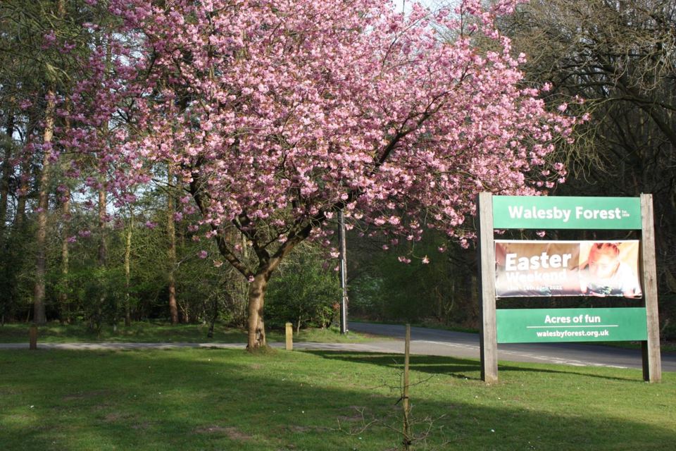 Site entrance sign in the woods