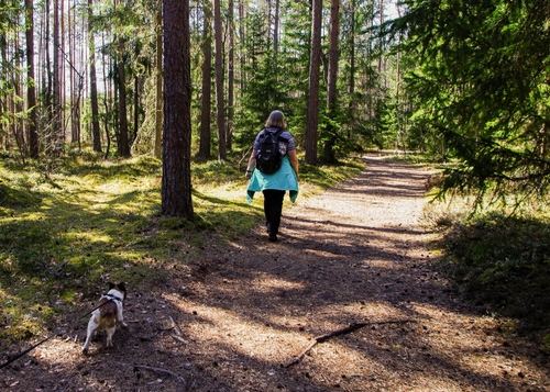 Walking in the woods
