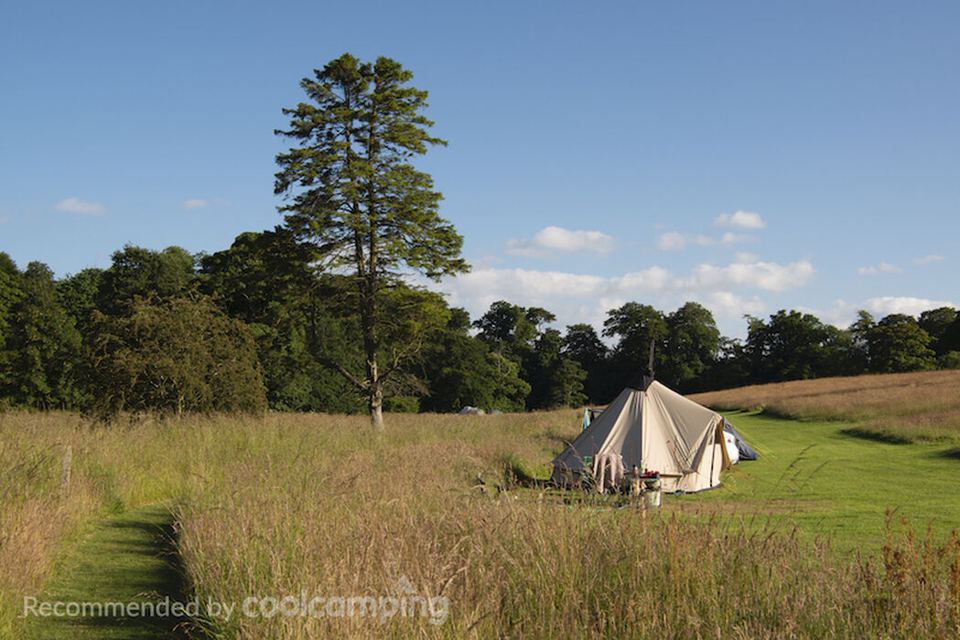 Bell tent in the meadow