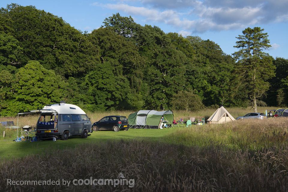 Pitches in the meadow