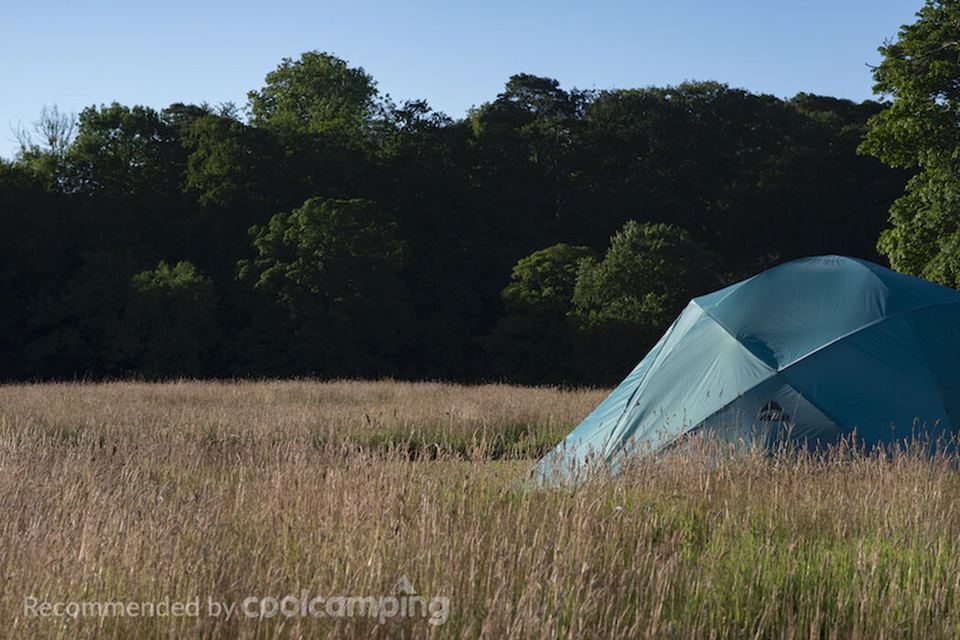 Tent by the woods