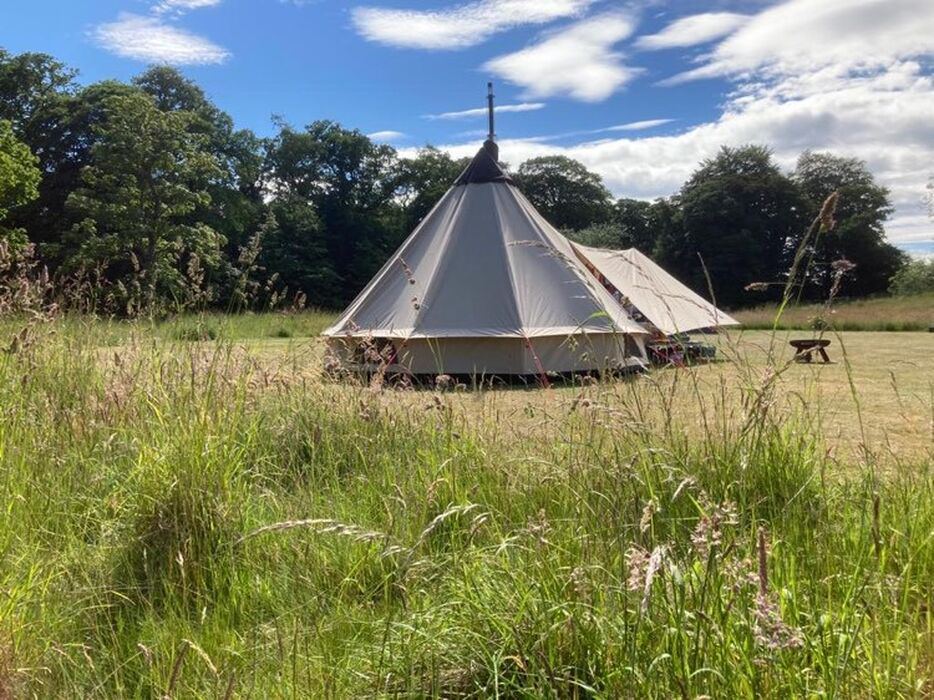 Large tent in the meadow