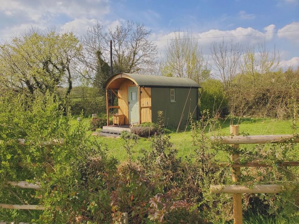 Shepherd's hut among the hedges