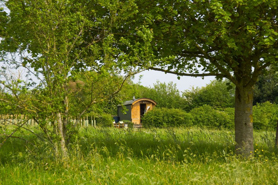 Hut in the orchard field