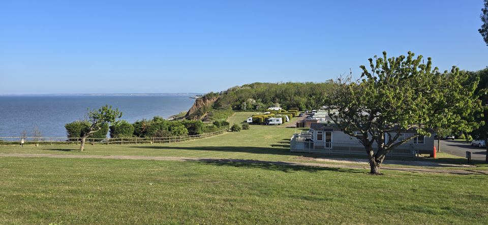 Sea view over the grass