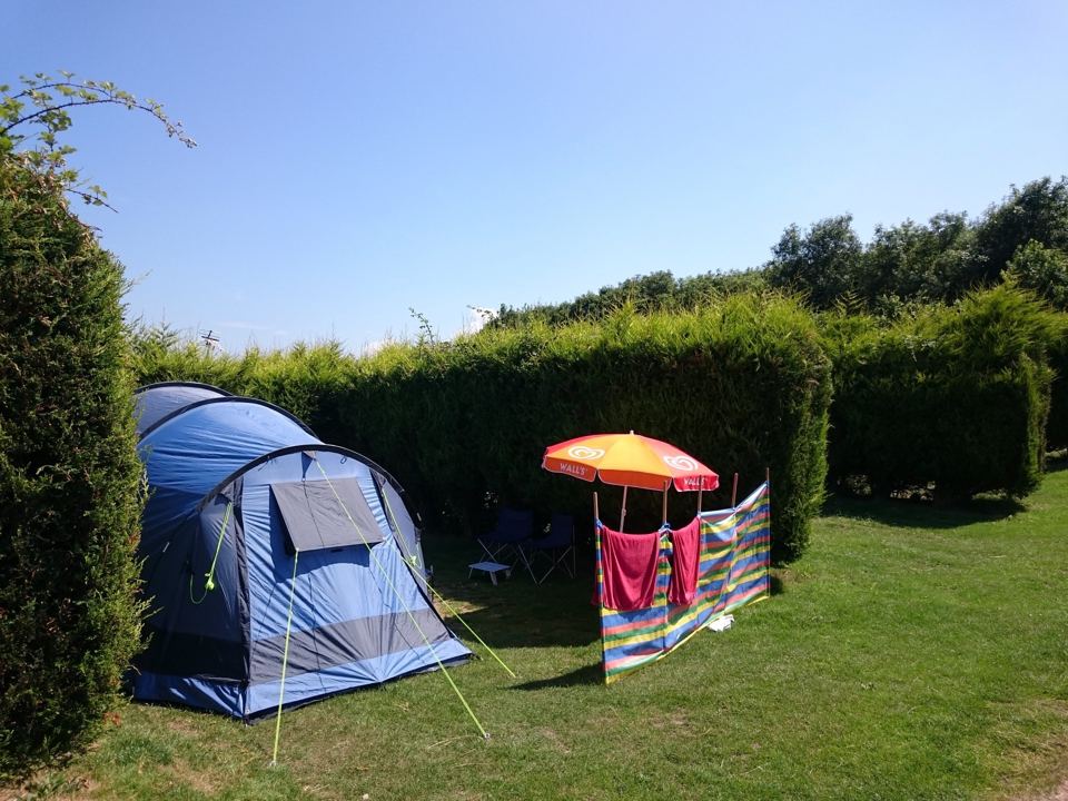 Tent pitch by a hedge
