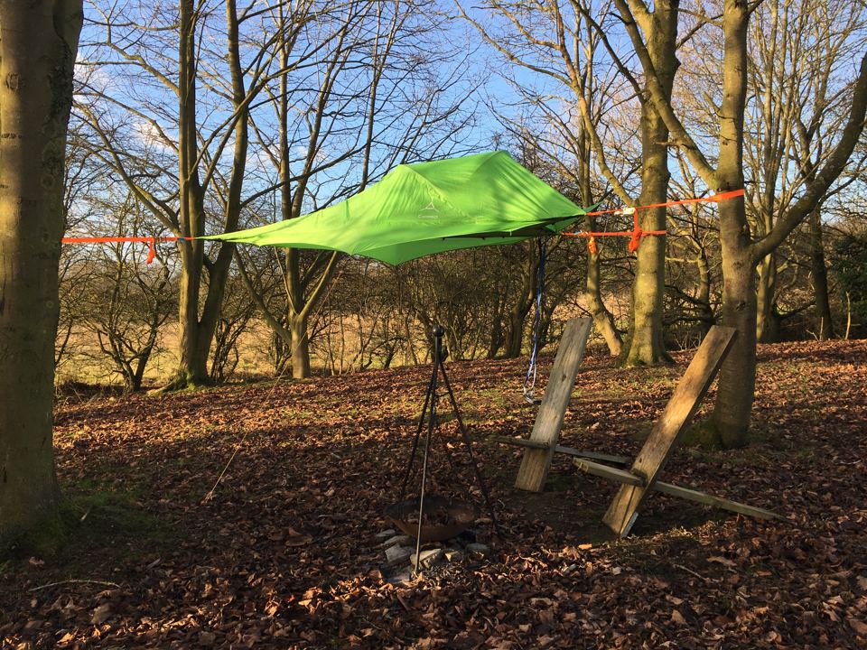 Tree tent among the trees