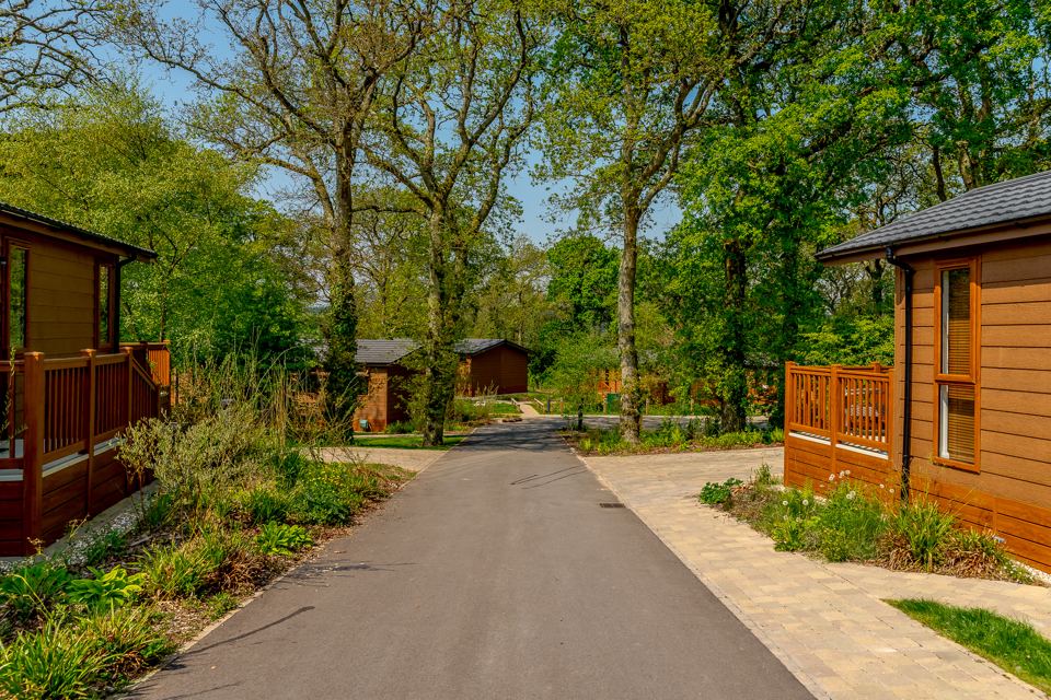 Path between wooded lodges