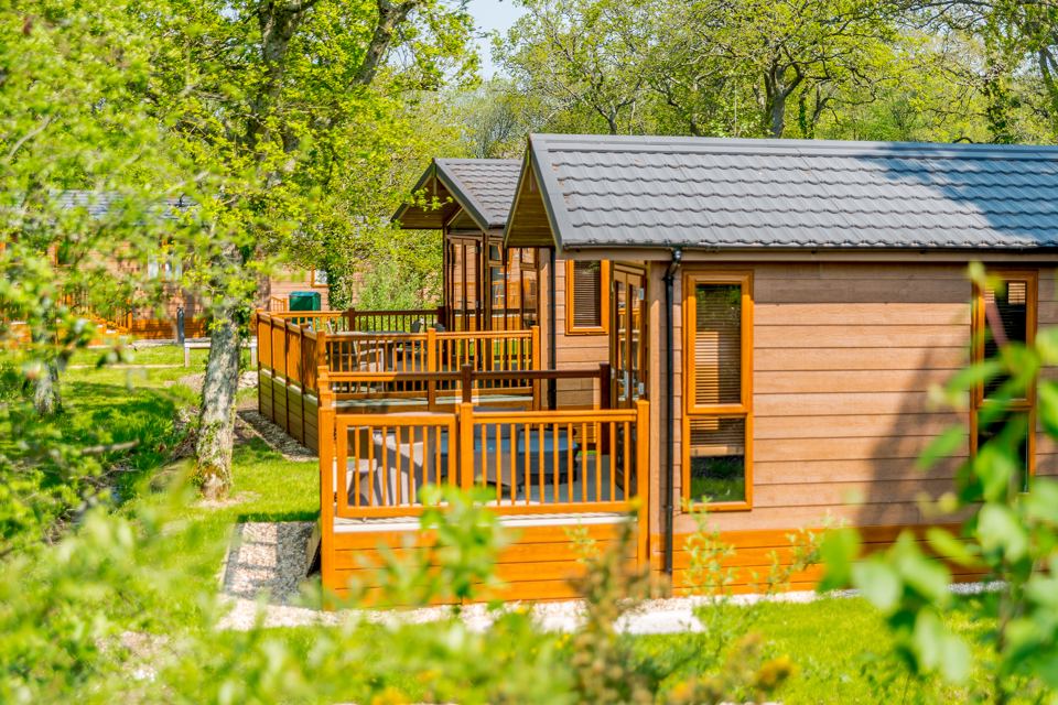 Lodge with decking among trees