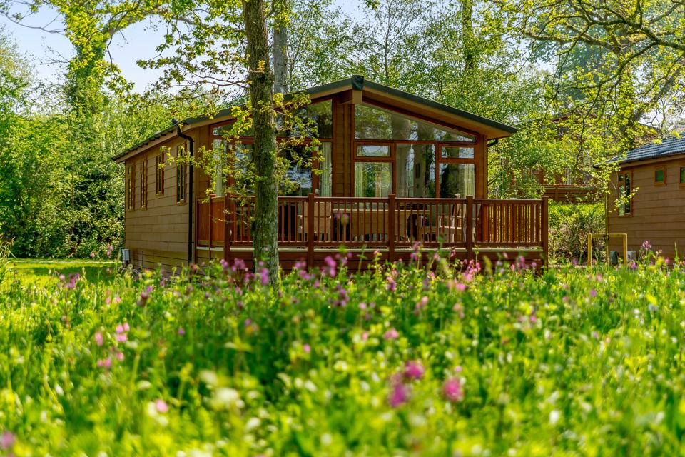 Lodge behind wildflowers