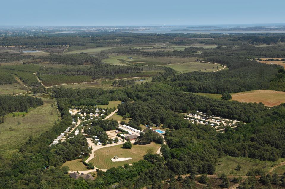 Park from the air in the forest