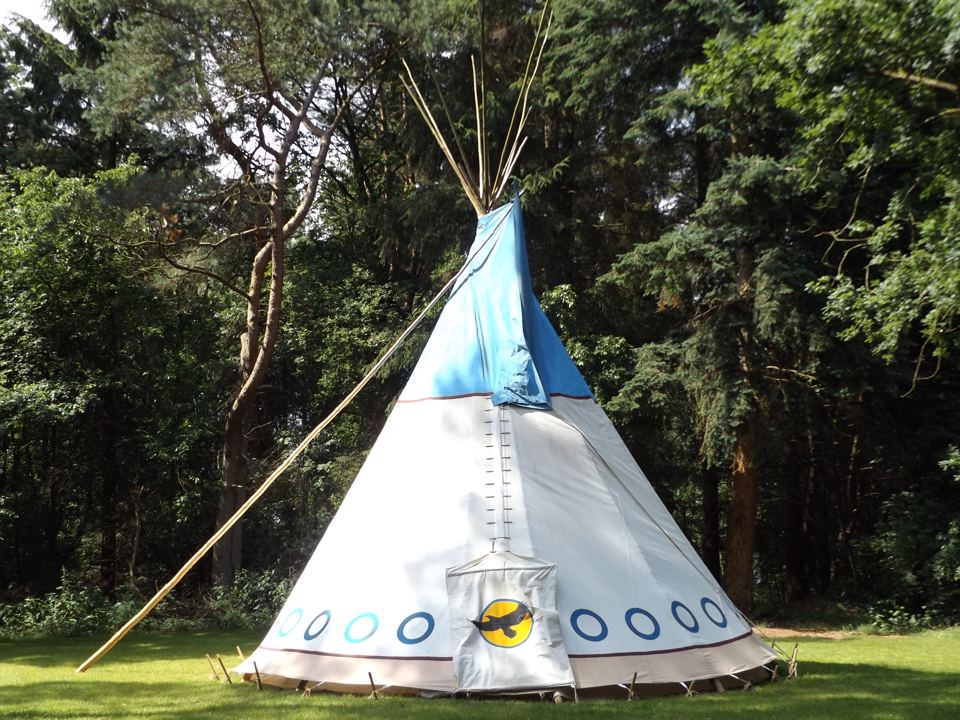 Tipi among the pines
