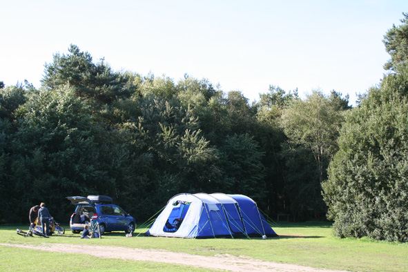 Family tent by the trees