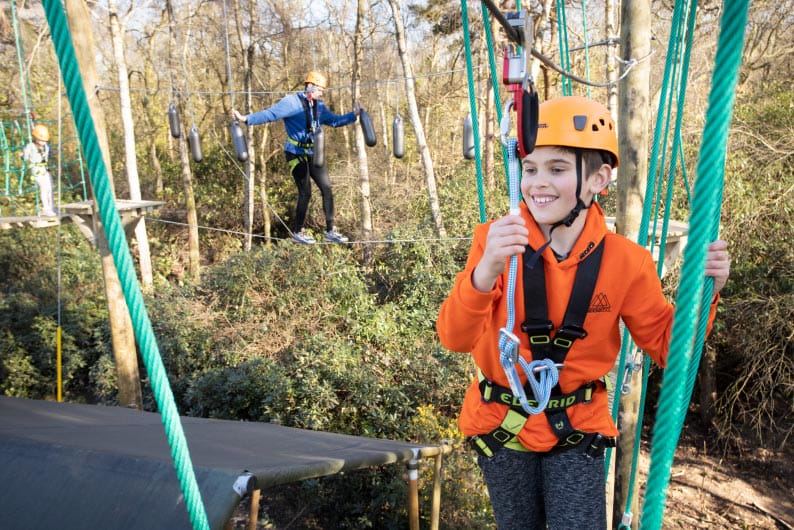 High ropes course in the trees