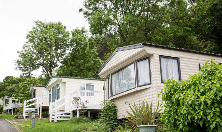 Holiday homes on the park